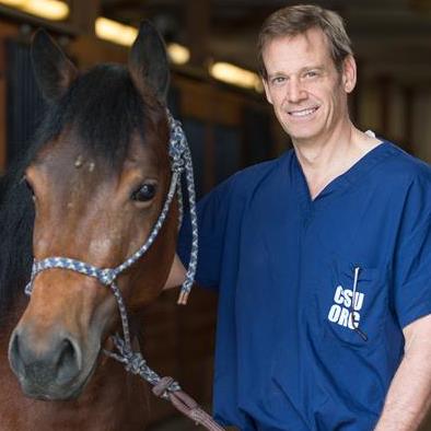 David Frisbie, DVM, PhD